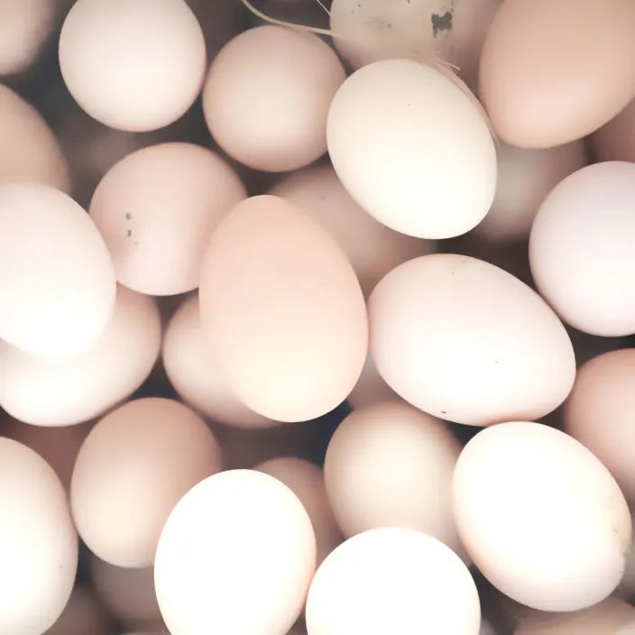 024d6a6b634aac653f78c4b7306adacc 024d6a6b634aac653f78c4b7306adacc